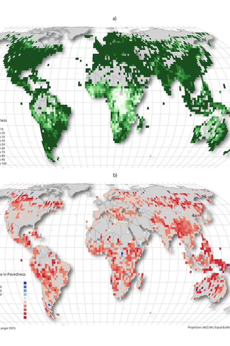 L'IA ha mappato 9,2 milioni di km di strade nel mondo