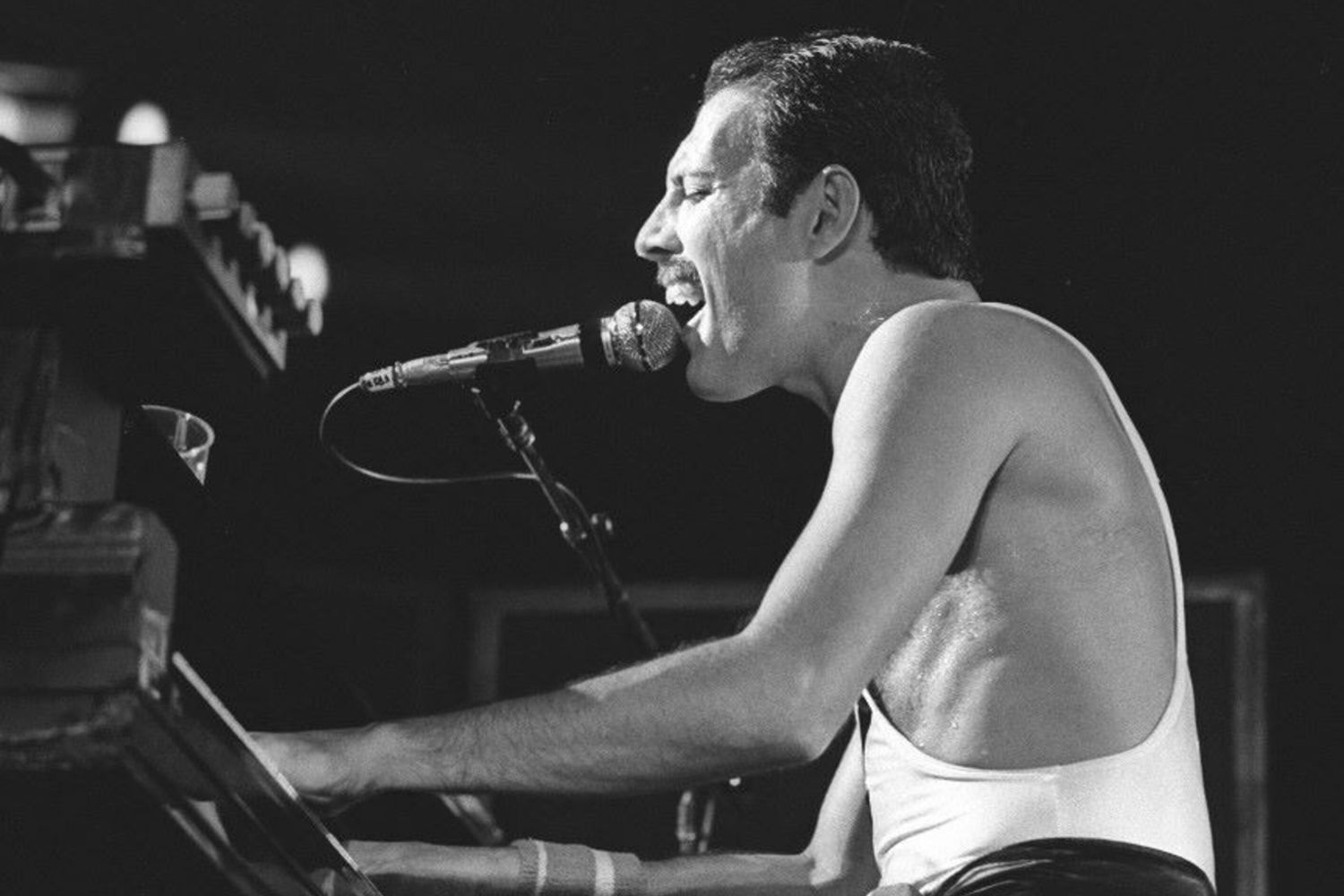 Freddie Mercury in un concerto a Milano nel 1984