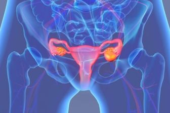 utero e ovaie