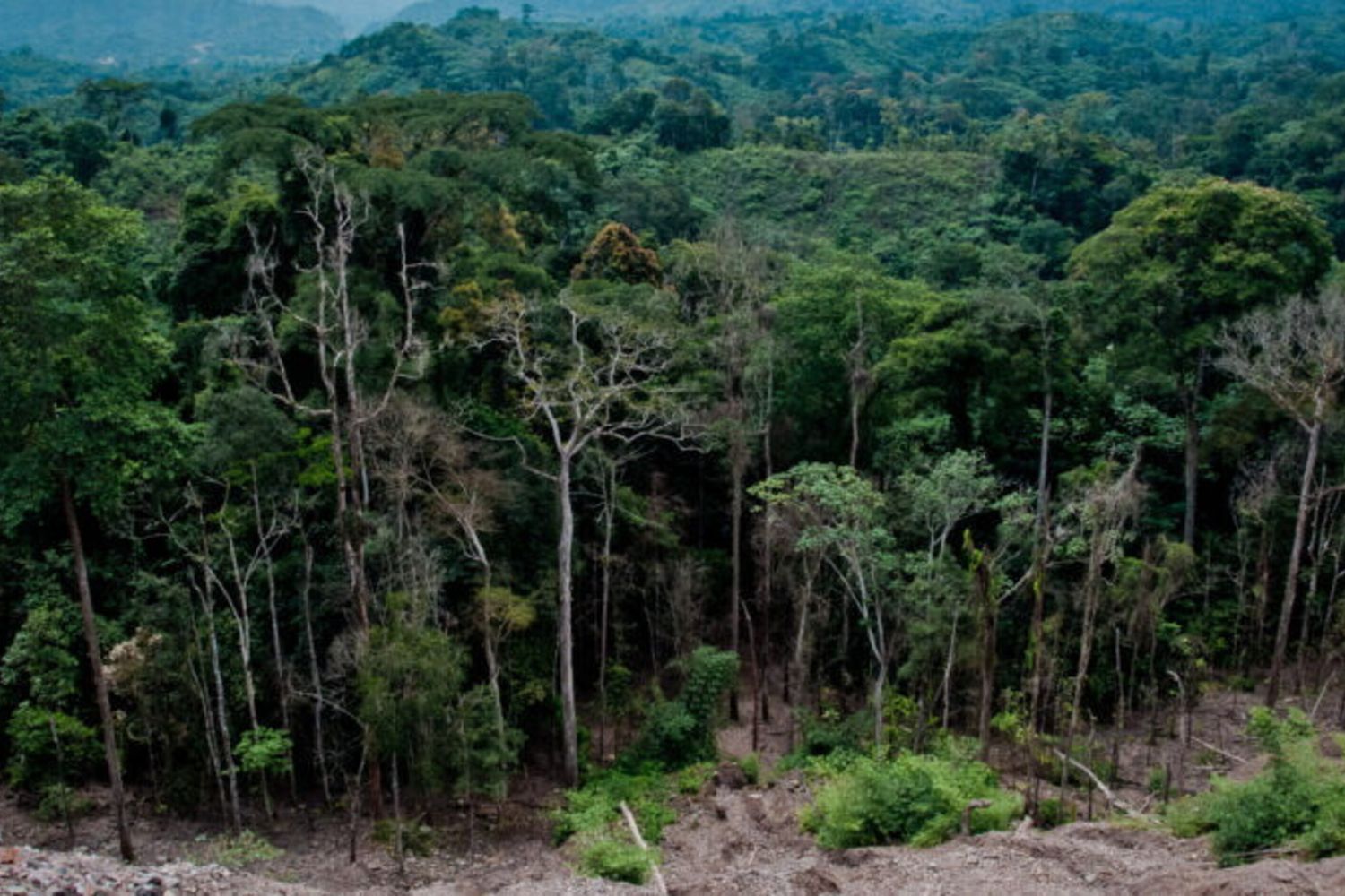 Mozambique: l'Italie finance un programme pour répondre aux défis du changement climatique