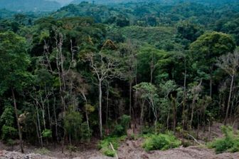 Mozambique: l'Italie finance un programme pour répondre aux défis du changement climatique
