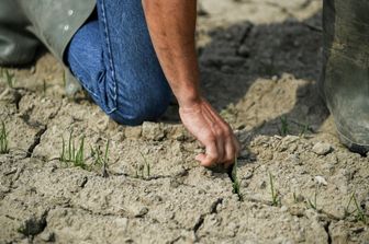 Agricoltura e siccità