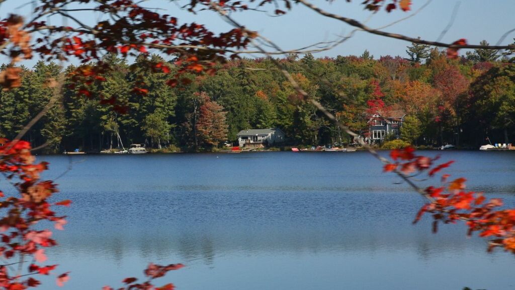 lago