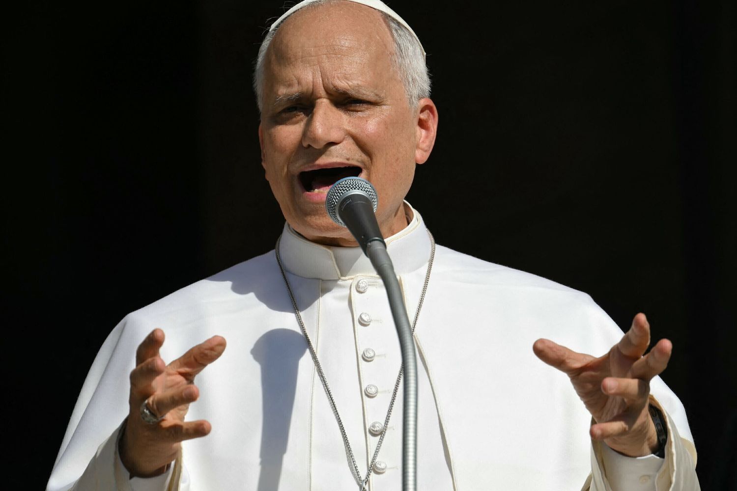 Papa Leone XIV a Pavia