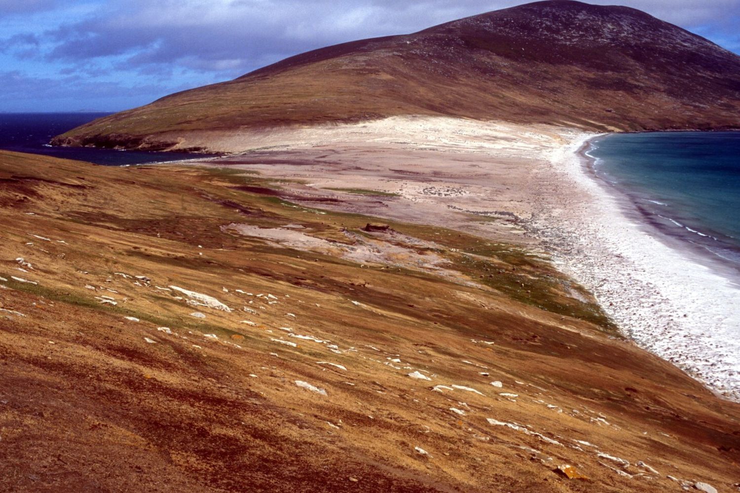 &nbsp;Le isole Fawkland, tra Uk e Argentina