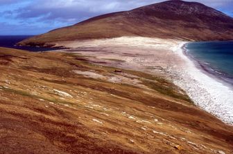&nbsp;Le isole Fawkland, tra Uk e Argentina