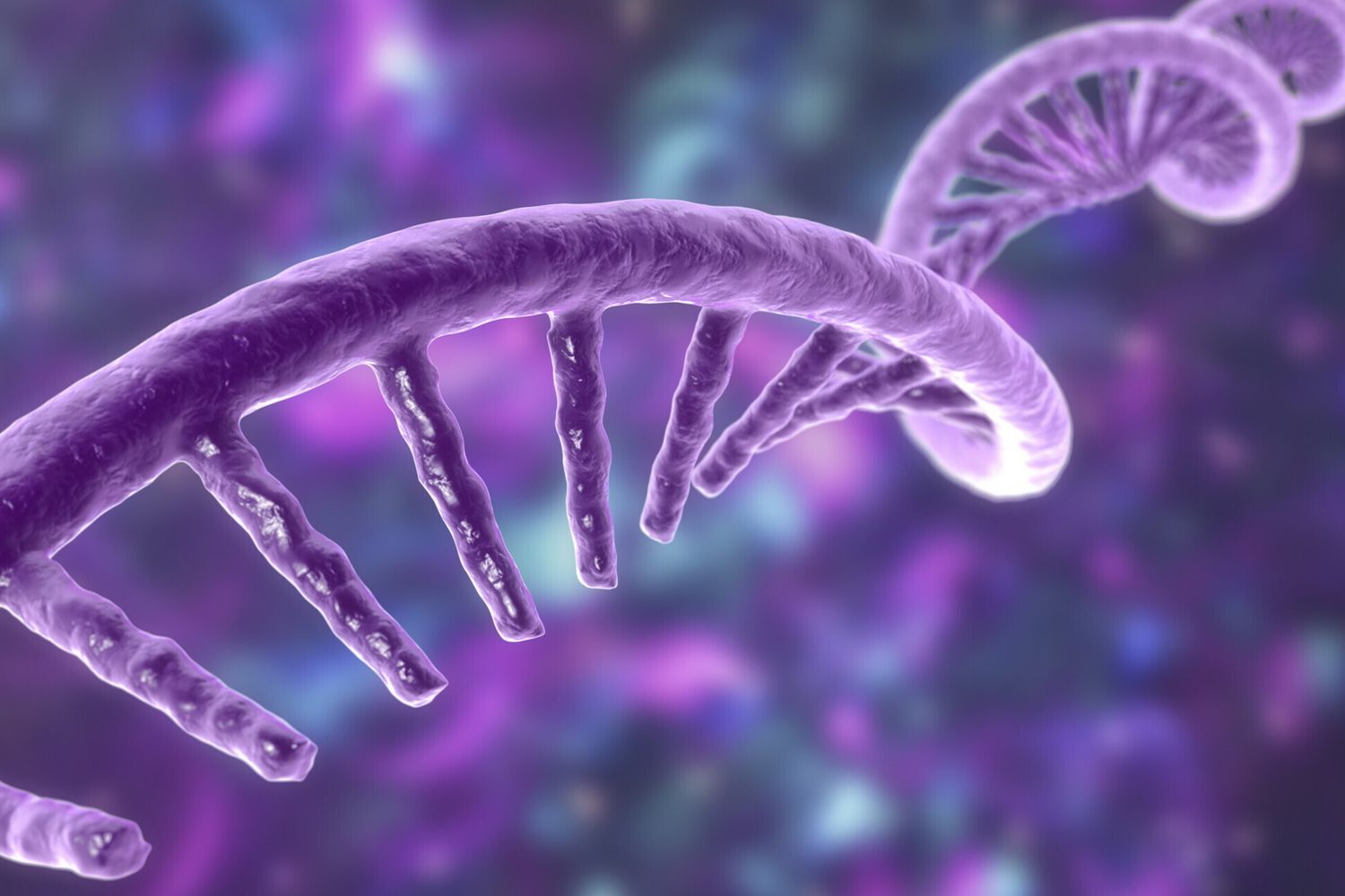 Un modello di RNA