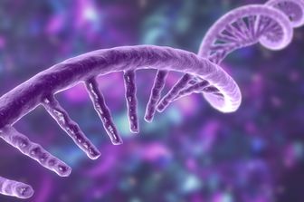 Un modello di RNA