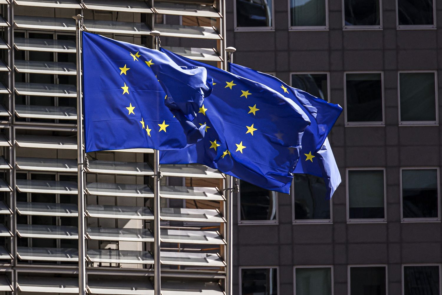 Bandiera Europea
