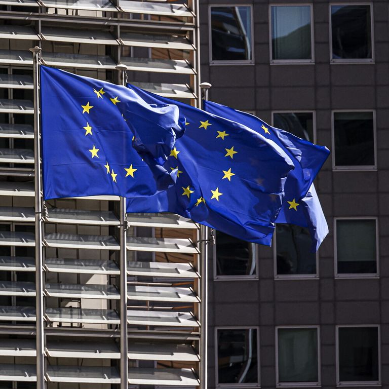 Bandiera Europea