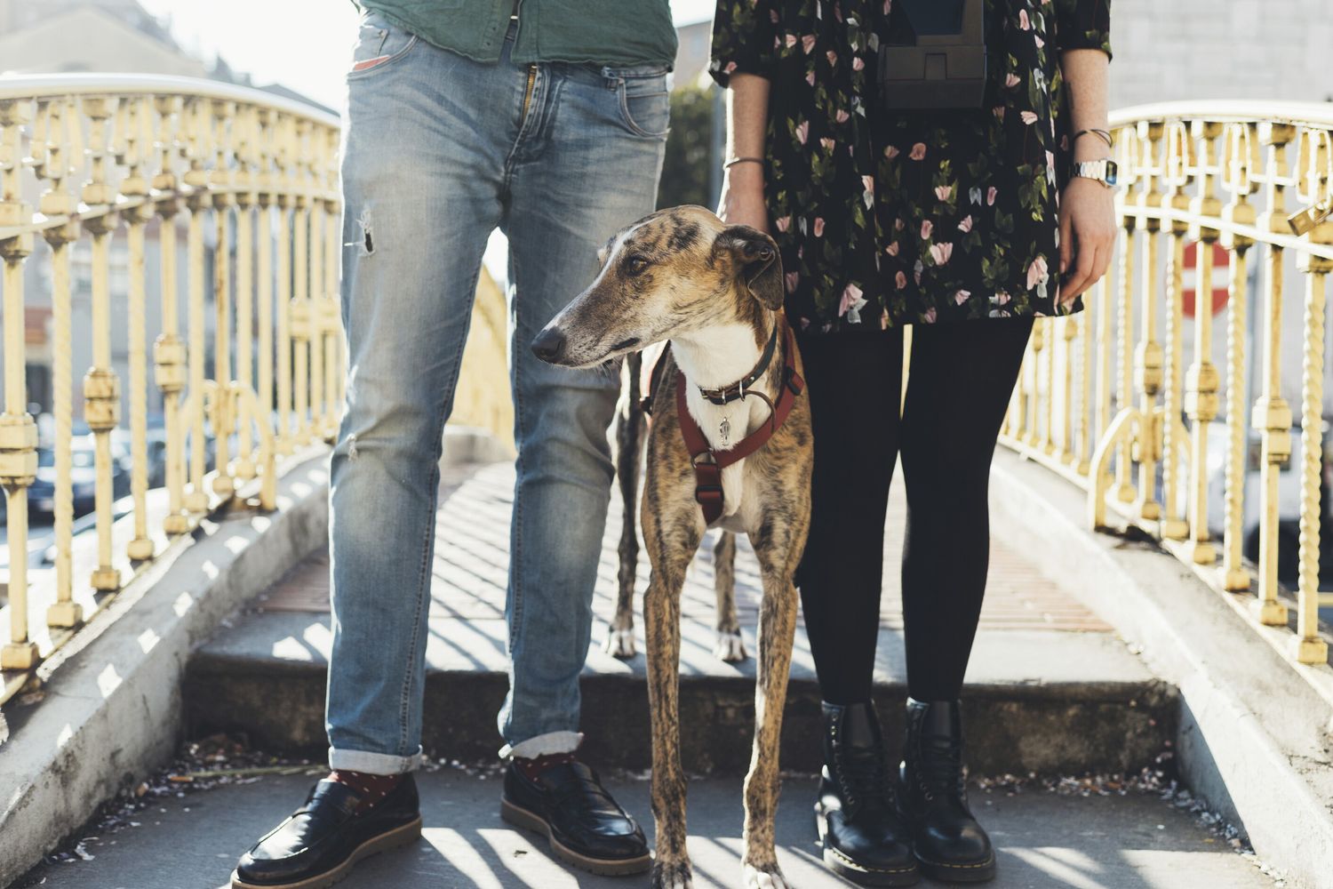 Una famiglia moderna
