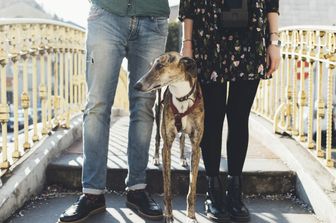 Una famiglia moderna