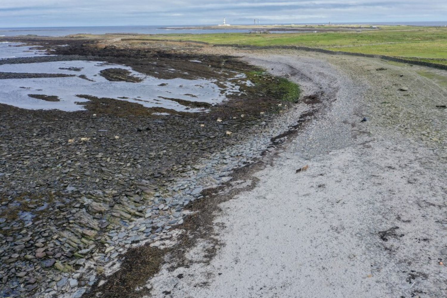 North Ronaldsay, la remota isola dell'arcipelago scozzese