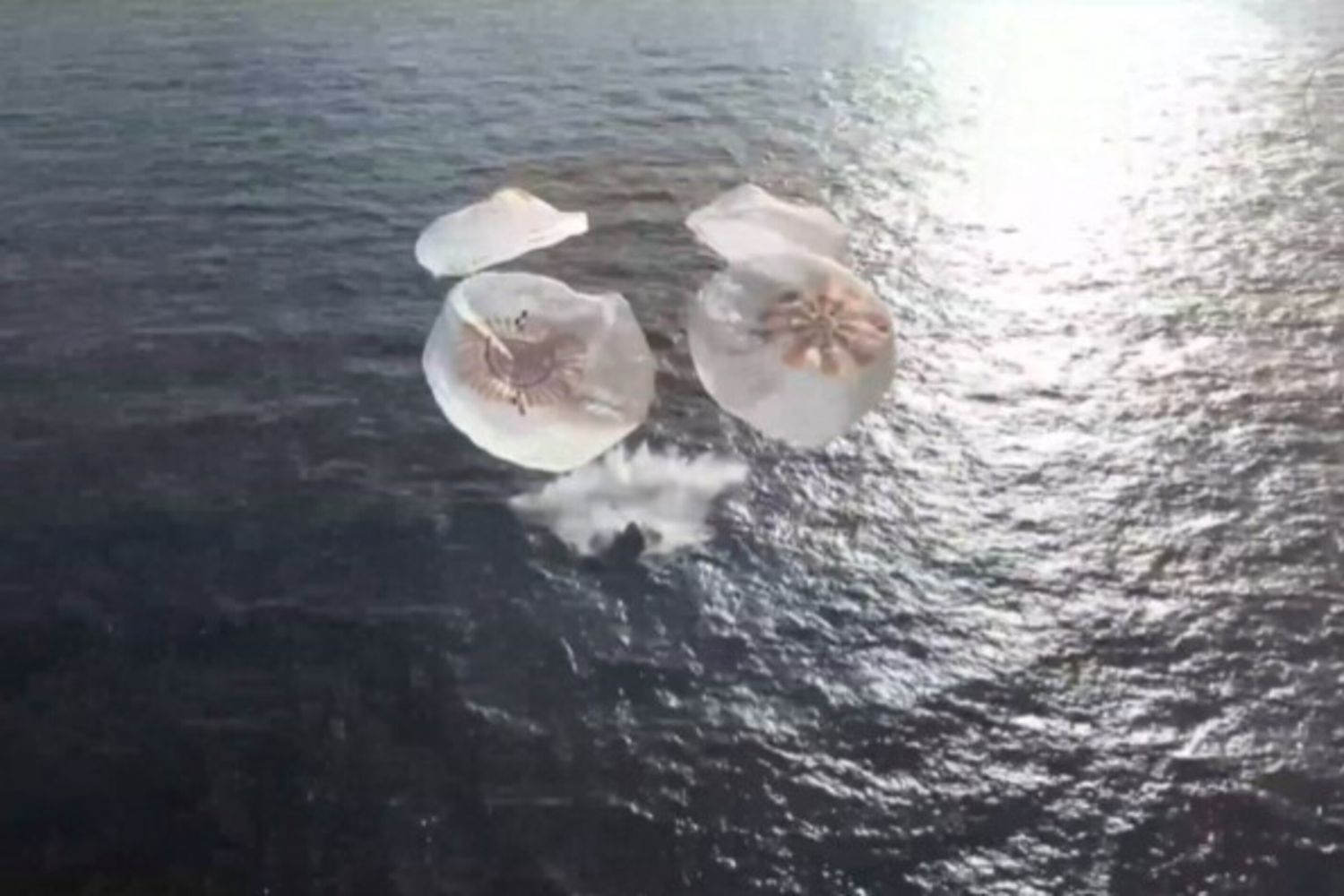 Ammaraggio della Crew Dragon nell'Oceano Pacifico