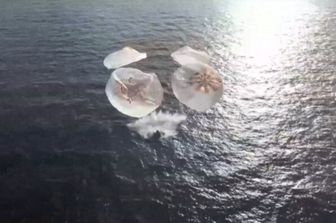 Ammaraggio della Crew Dragon nell'Oceano Pacifico