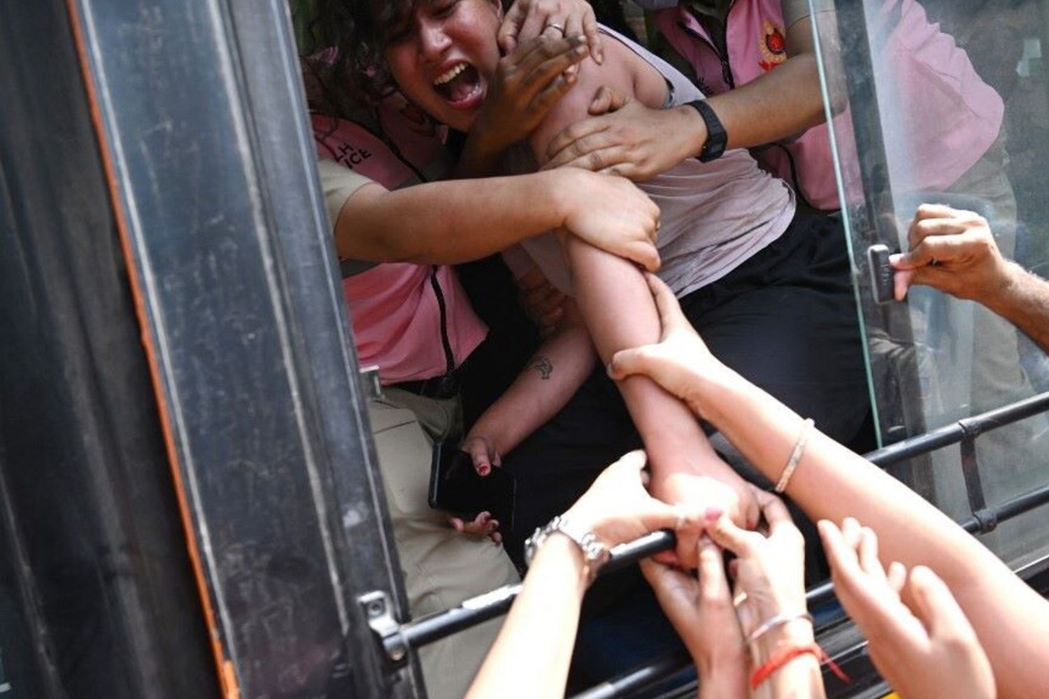 La protesta degli scarafaggi in India