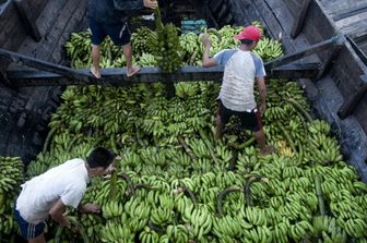 Banane