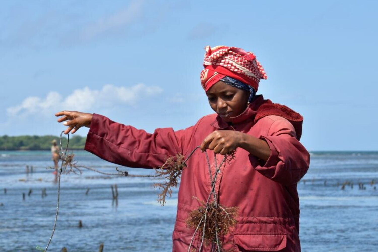 L'Italia sostiene un progetto per rafforzare il settore della pesca nel Puntland