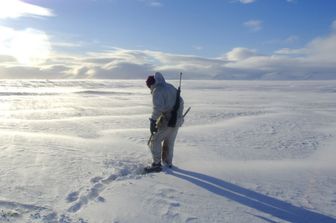 Svalbard