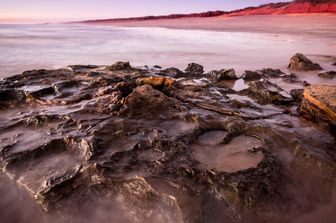Cretaceo inferiore rocce del Broome arenaria. 21 diversi tipi di tracce dei dinosauri sono stati trovati su un tratto di costa remota dell'Australia, gli scienziati l'hanno definito il Jurassic Park nazionale