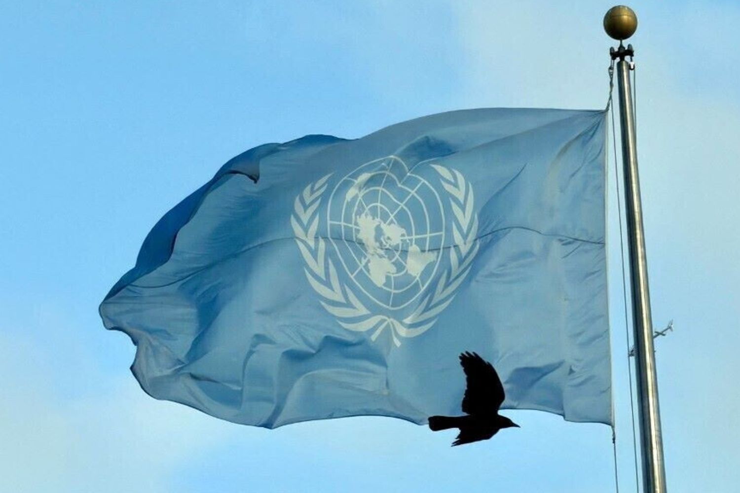 Bandiera dell'Onu a New York
