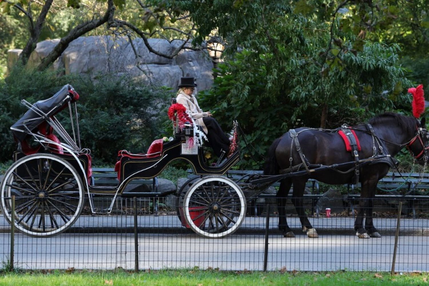 Un conducente di carrozza trainata da cavalli attende i passeggeri a Central Park, a New York