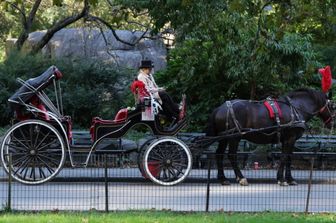 Un conducente di carrozza trainata da cavalli attende i passeggeri a Central Park, a New York