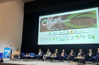 World Buffalo Congress a Sorrento