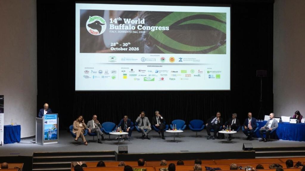 World Buffalo Congress a Sorrento