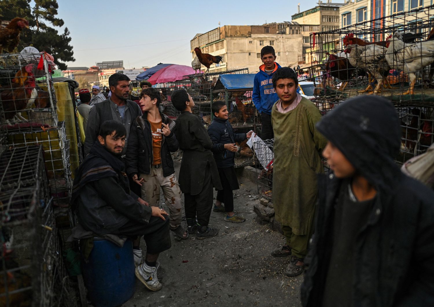 Un mercato a Kabul&nbsp;