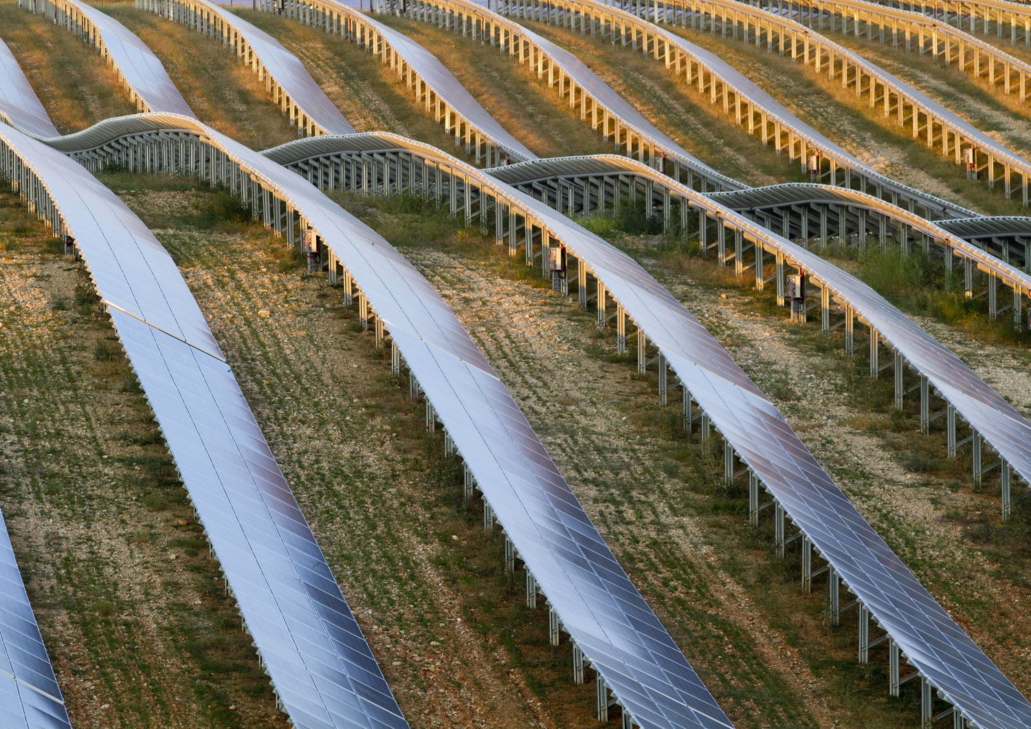 agro fotovoltaico energia green