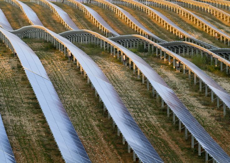 agro fotovoltaico energia green