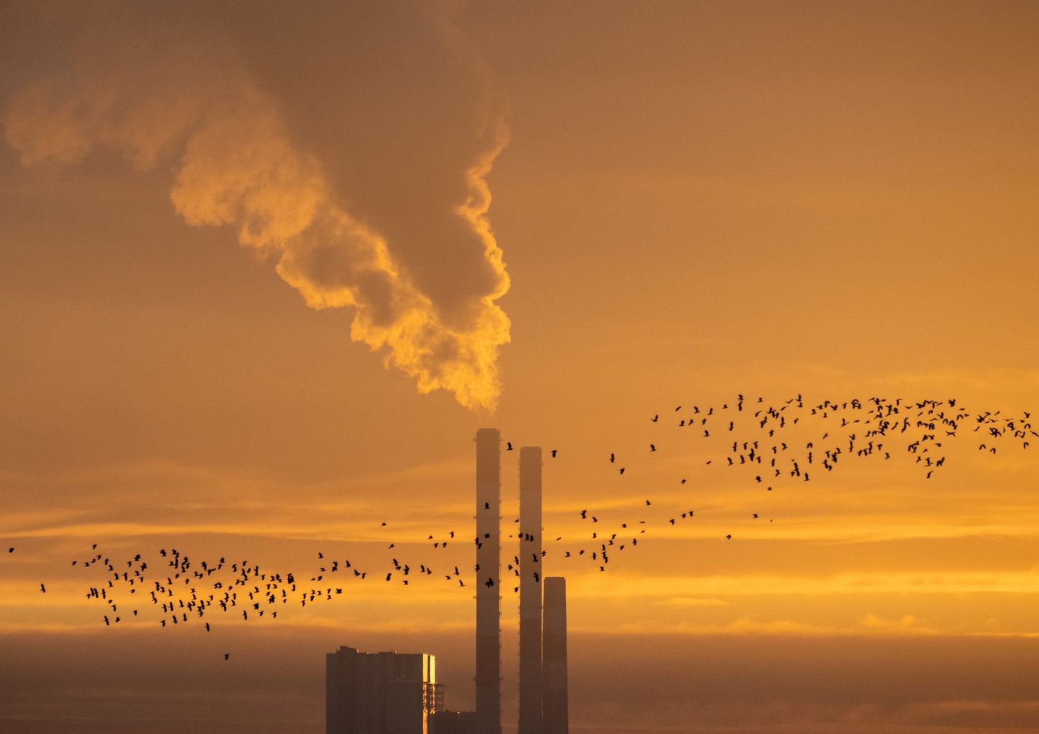 Energia Francia Germania aumenta uso carbone