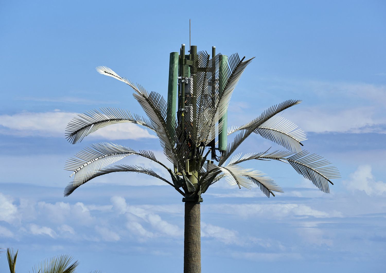 Un'antenna per telefonia mobile camuffata da palma