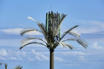 Un'antenna per telefonia mobile camuffata da palma