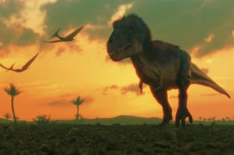 Una ricostruzione grafica di un Tyrannosaurus Rex