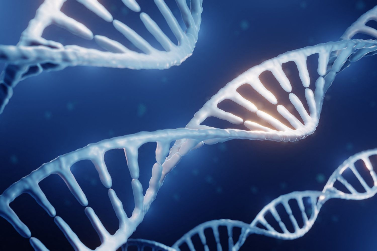 Struttura del Dna&nbsp;