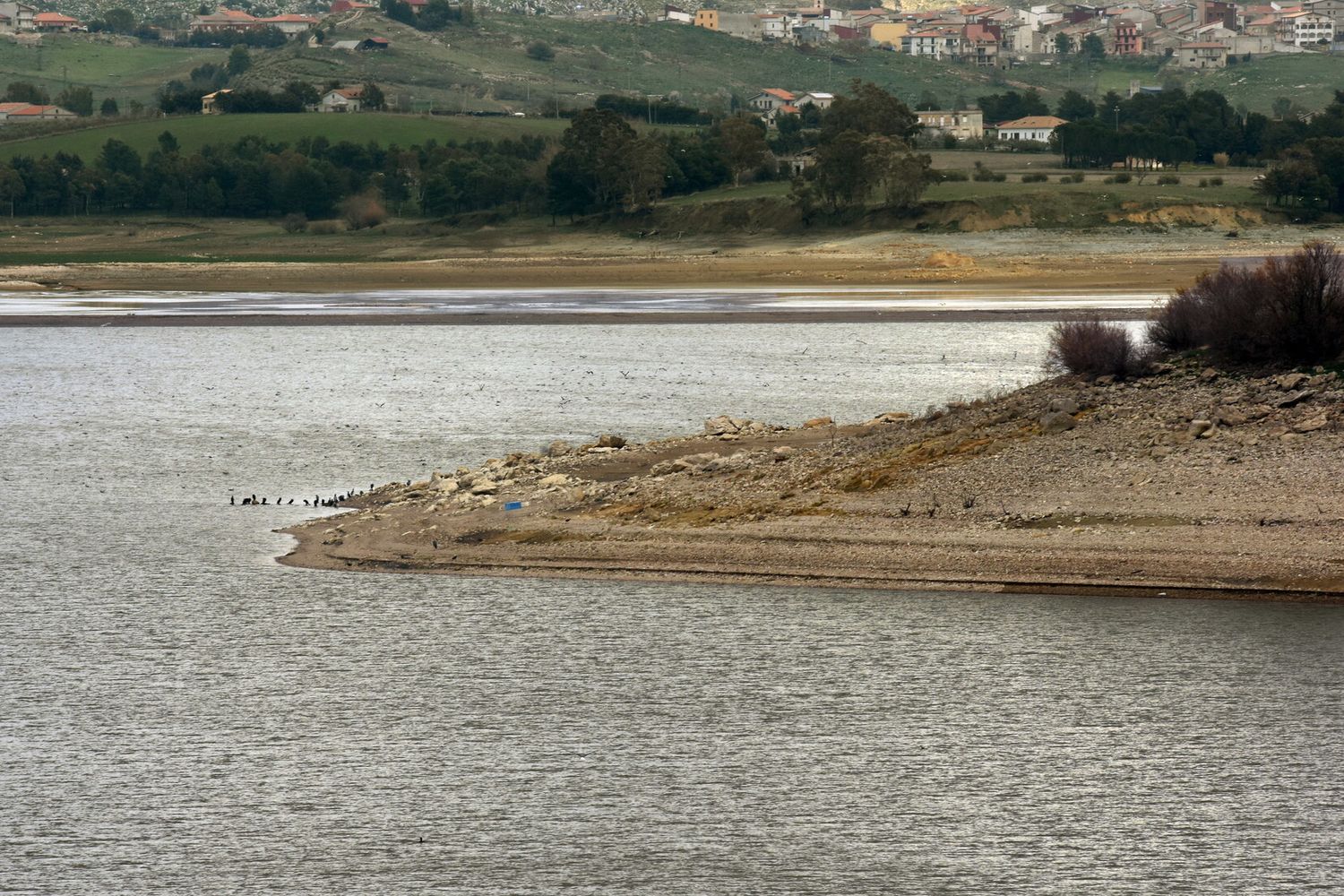 Siccit&agrave; nella Piana degli Albanesi in provincia di Palermo&nbsp;