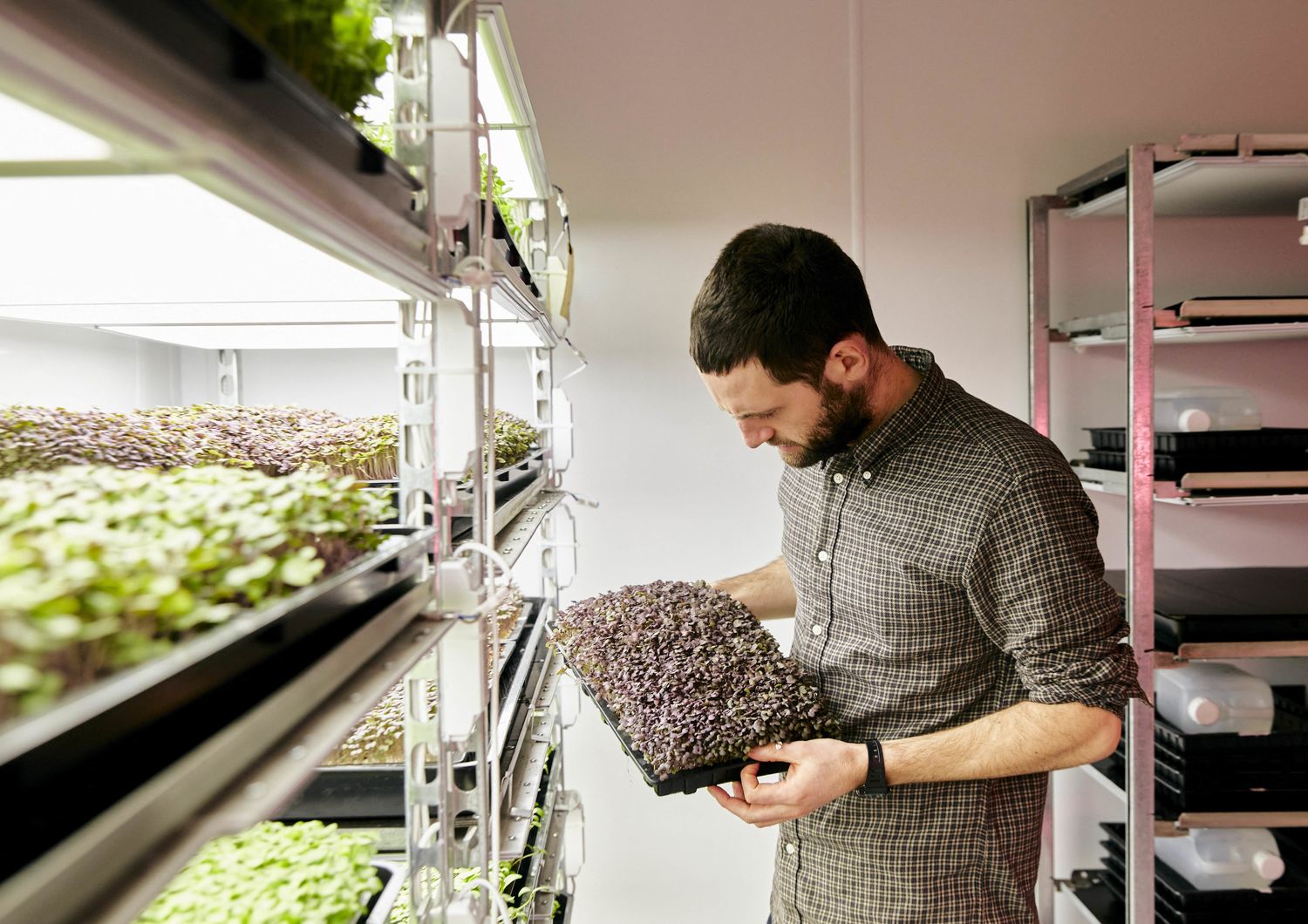 ucraina vertical farming cibo giardini verticali crisi&nbsp;