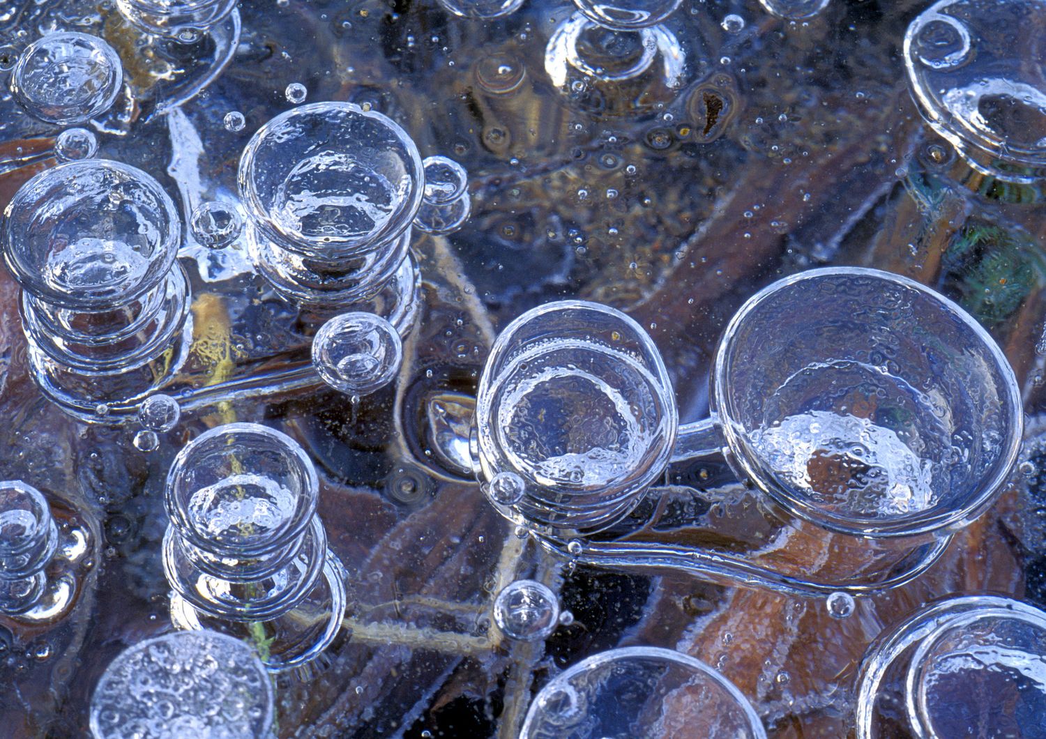 Bolle di metano nel ghiaccio, prodotte dalla decomposizione di organismi sul fondo di uno stagno
