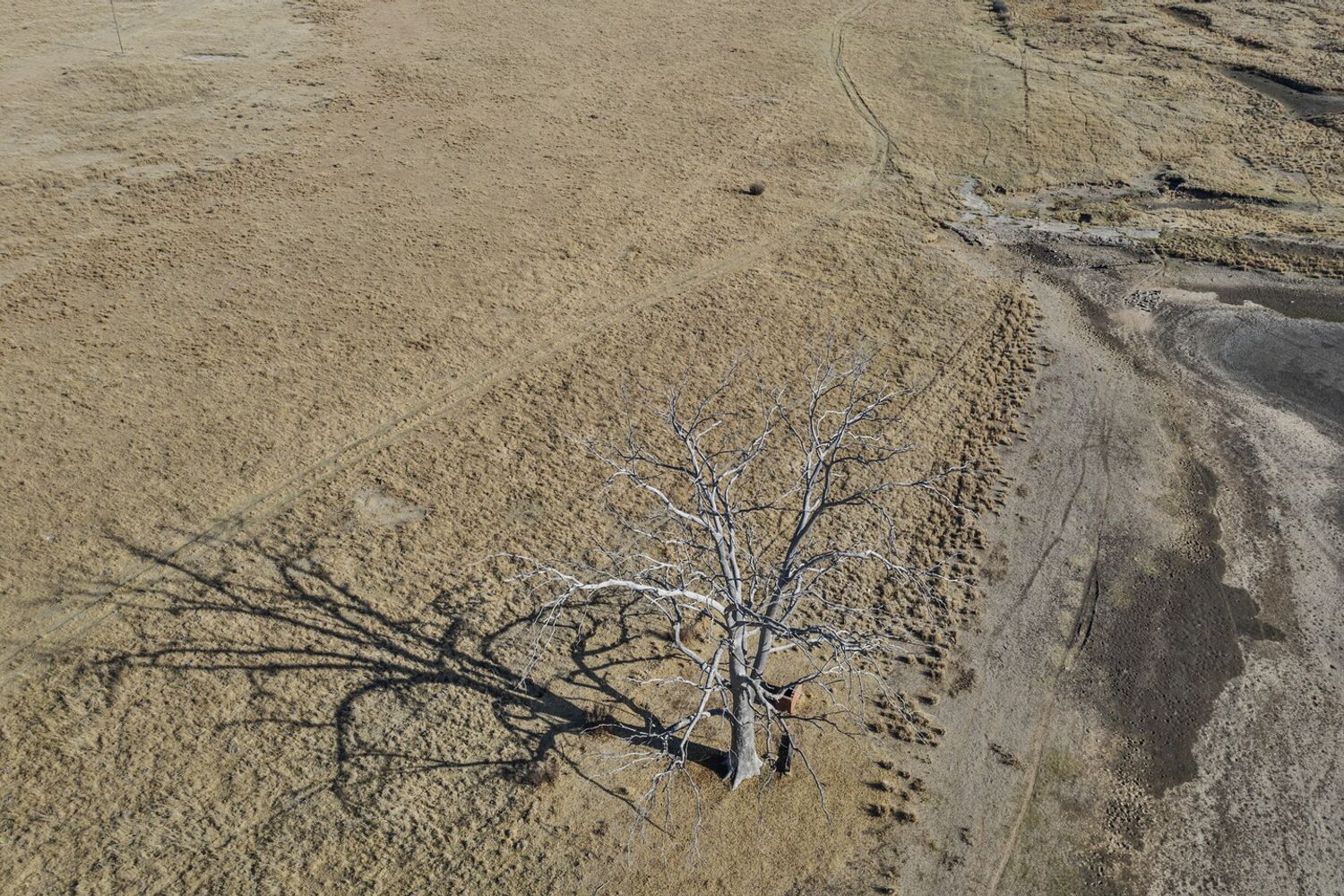 Siccit&agrave; in Africa