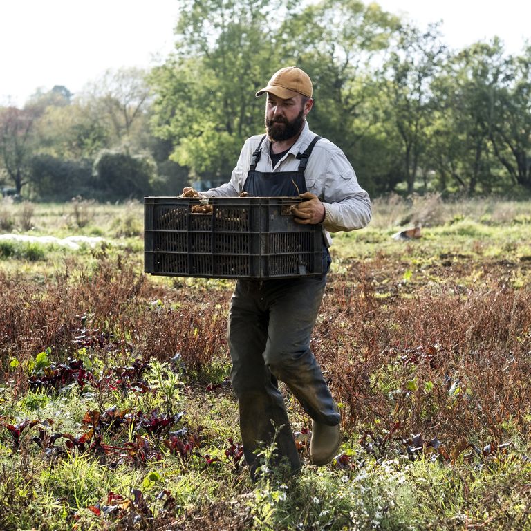 Agricoltura biologica