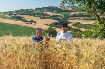 prima varieta grano duro settore biologico