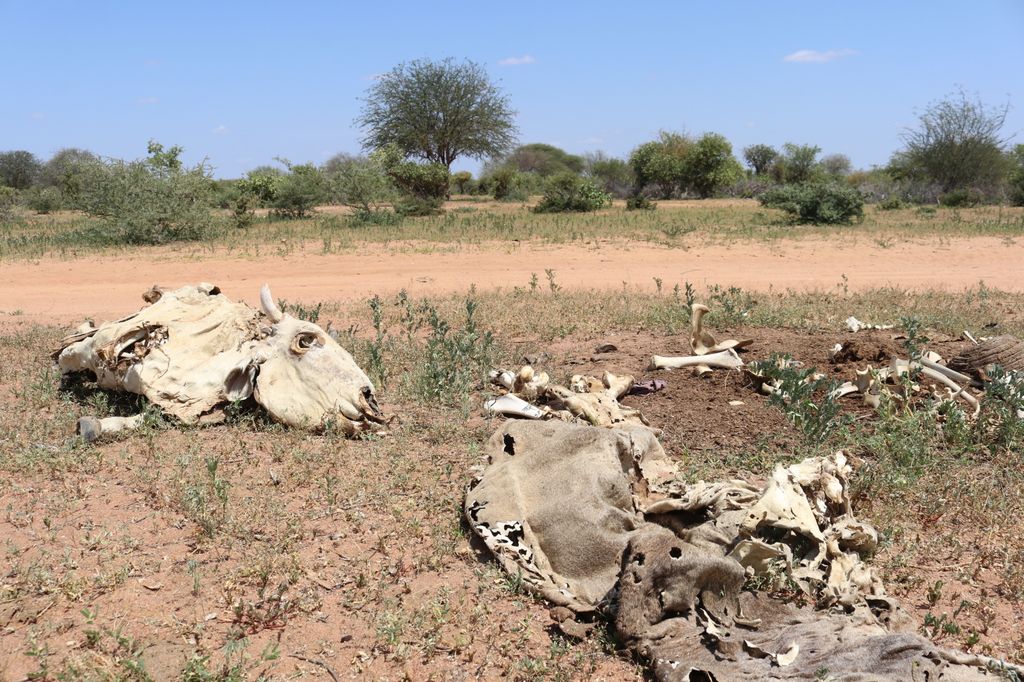 Africa, povert&agrave;, crisi climatica