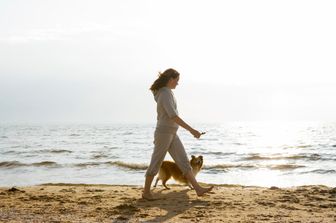 Da nord a sud quasi 400 dog beach