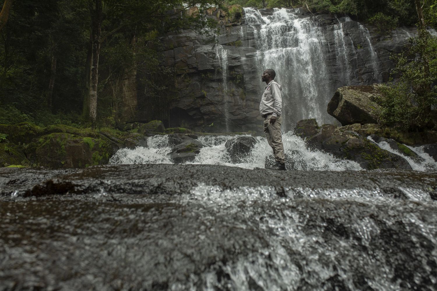 La foresta pluviale del monte Gorongosa in Mozambico