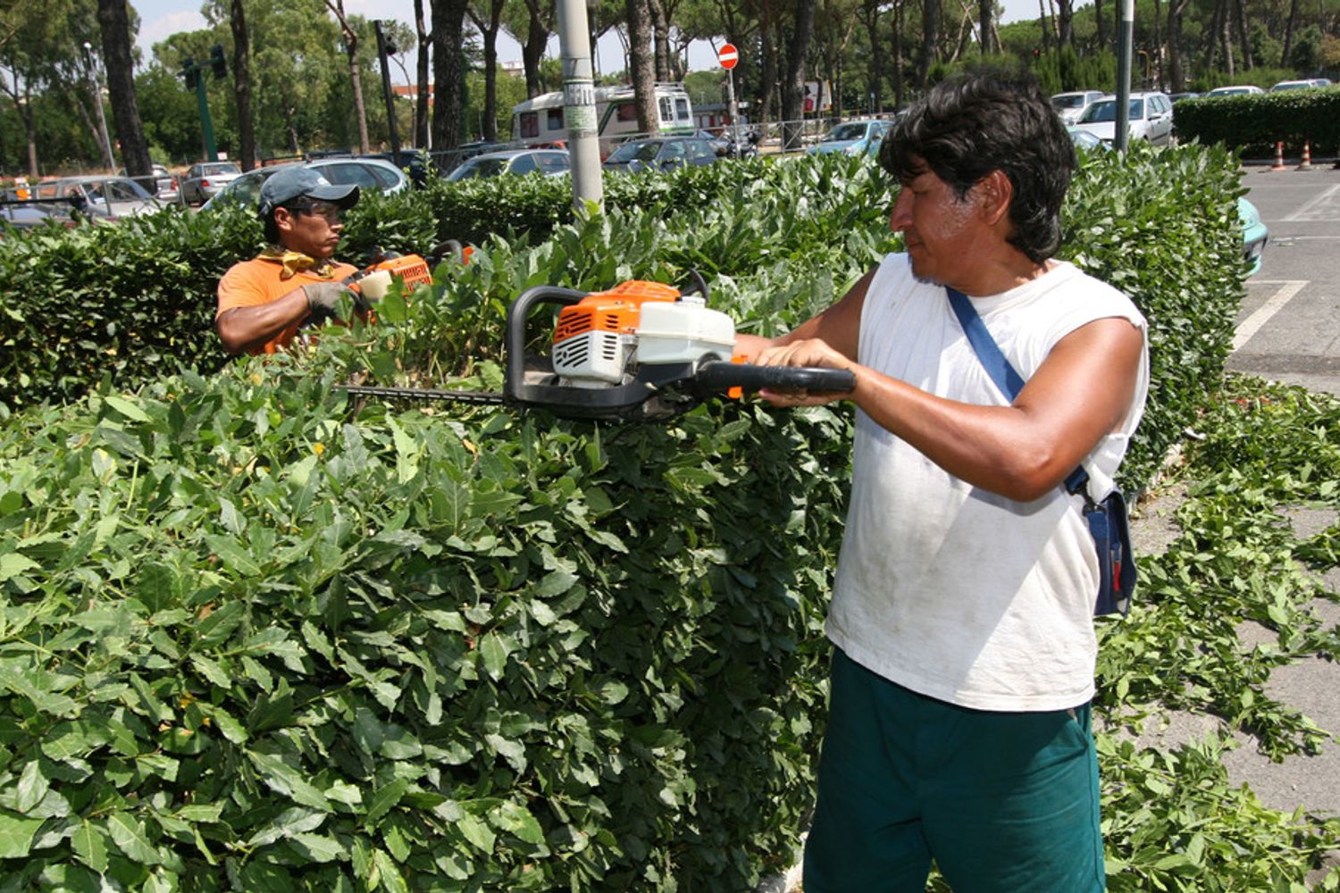 Giardinieri al lavoro a Roma&nbsp;
