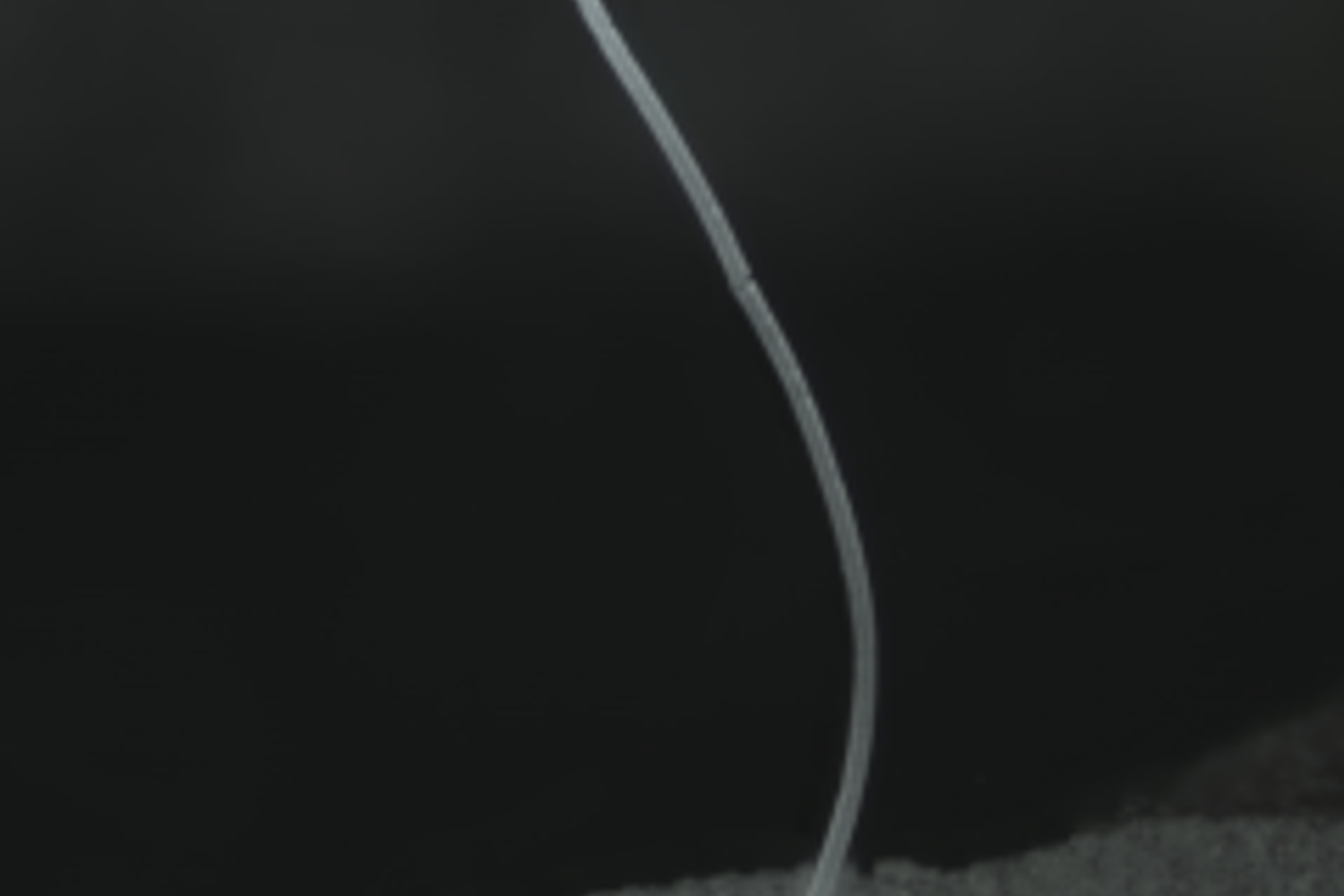 Batterio visibile a occhio nudo