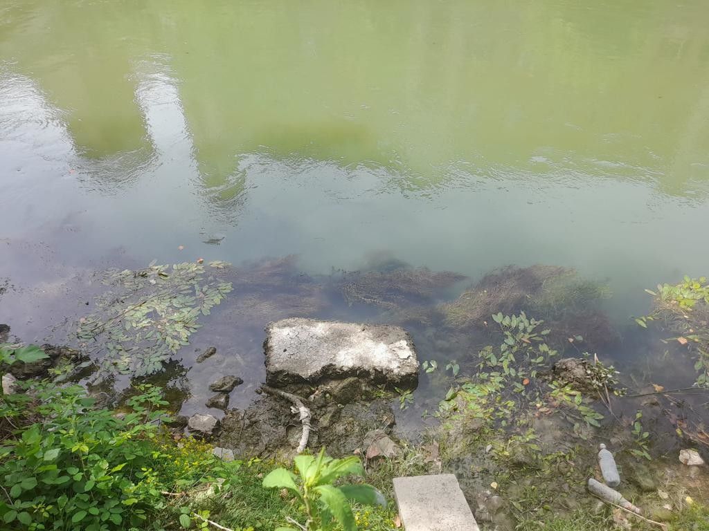 Il Tevere all'altezza di Ponte Sublicio