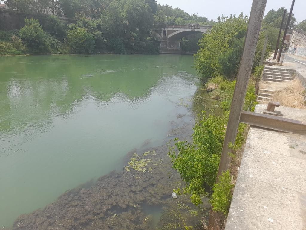 Il Tevere all'altezza dell'Isola Tiberina a Roma&nbsp;
